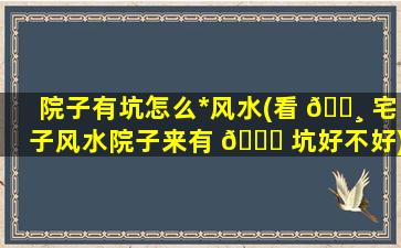 院子有坑怎么*
风水(看 🕸 宅子风水院子来有 🍁 坑好不好)